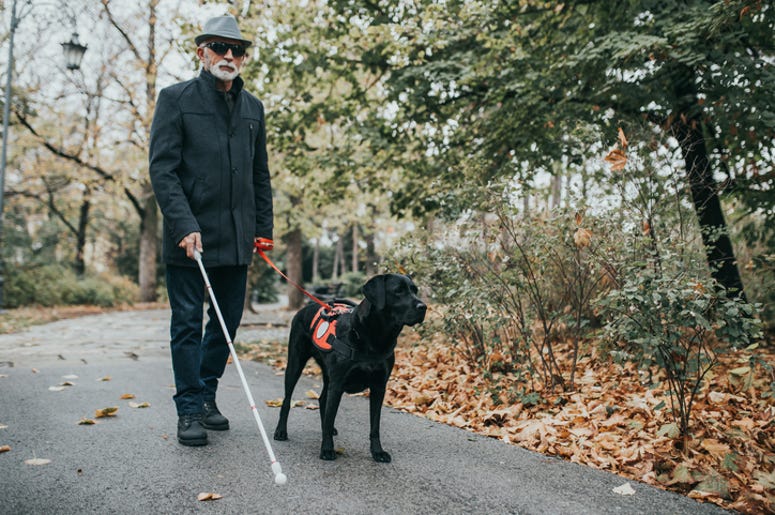 Hombre Ciego Ayuda a Policías de Fort Worth A Detener Sospechoso Armado Mature blind man with dog