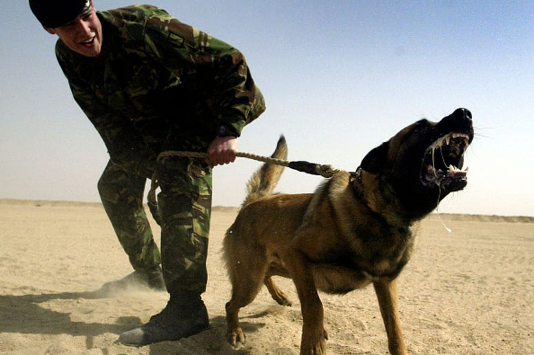 Perros