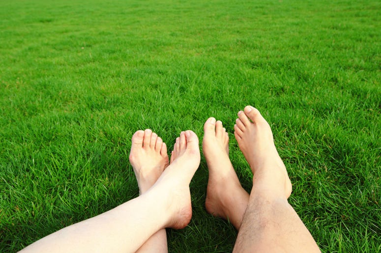 pies