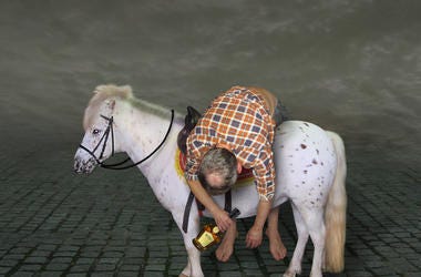 Borracho De Dallas Arrestado Por Andar A Caballo En Carretera The drunk man with a bottle of rum is lying across the horse saddle.
