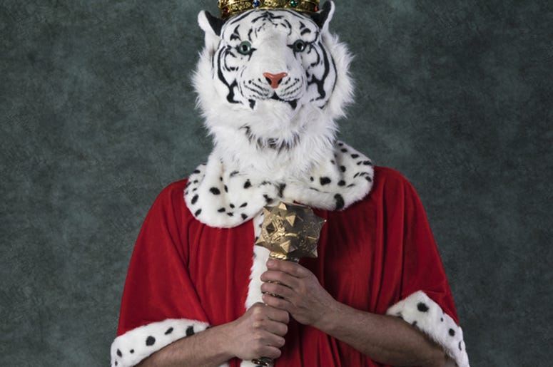 tiger