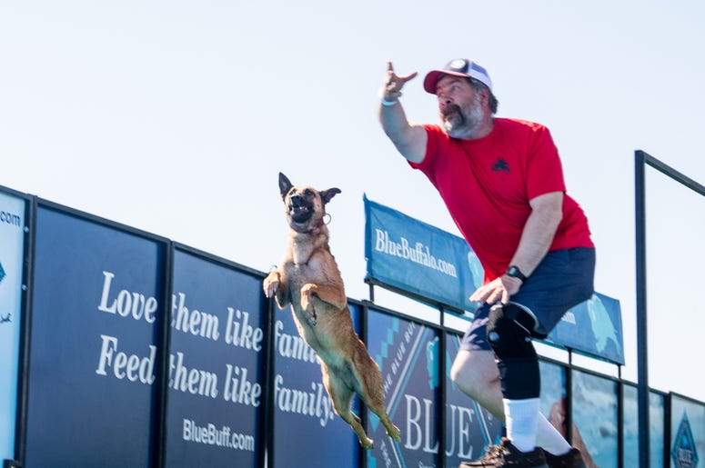Petapalooza 2019 The Dogs 10