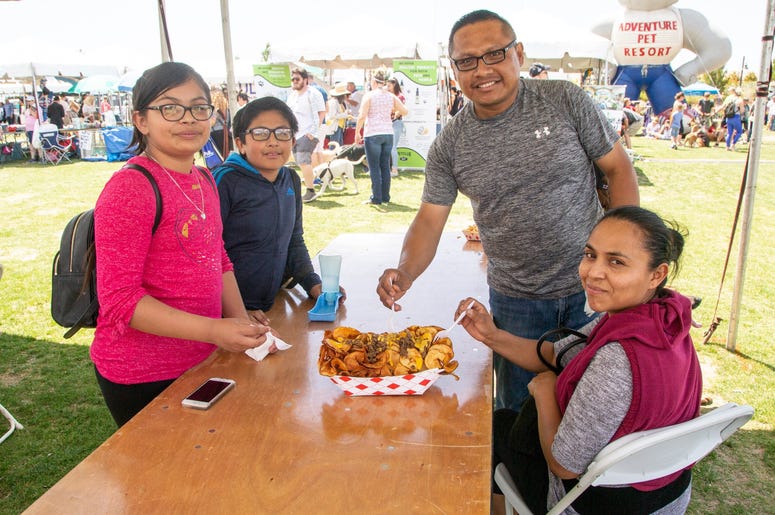 Petapalooza 2019 The Event 11
