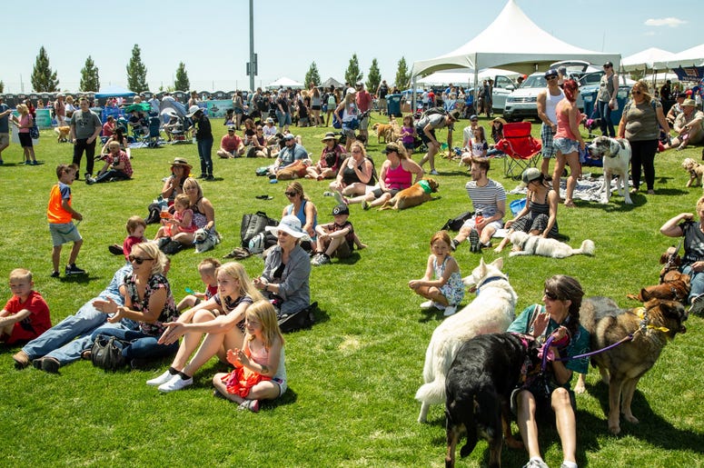 Petapalooza 2019 The Event 15