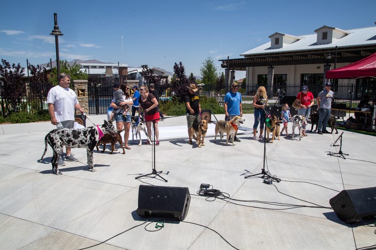 Petapalooza 2019 The Event 16