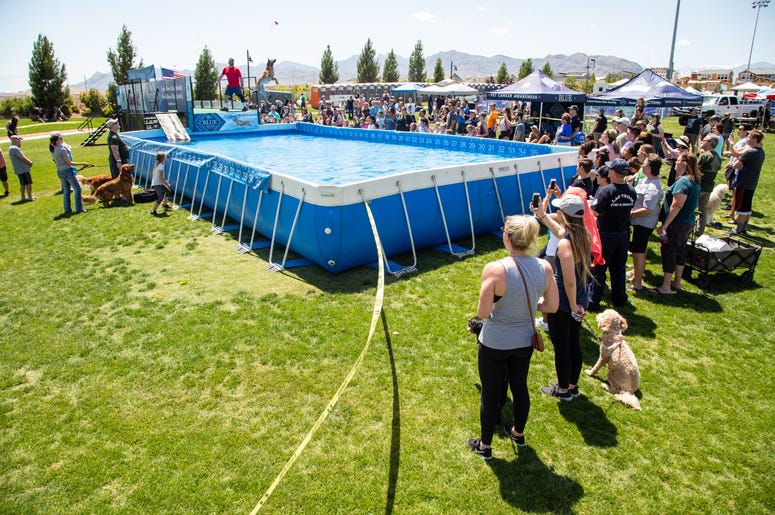 Petapalooza 2019 The Event 17