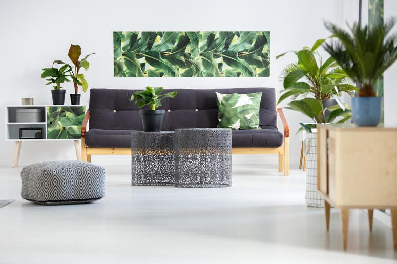 Green living room Green living room