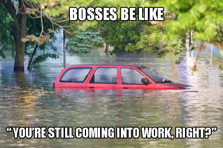 boss meme