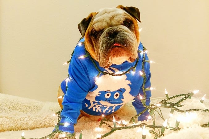 Ugly Christmas Sweater Ugly Christmas Sweater