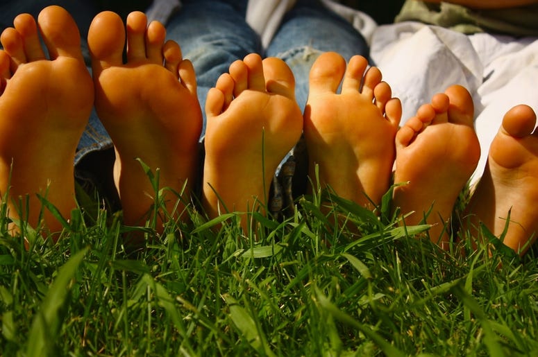 Three pairs of Growing feet on grass. Three pairs of Growing feet on grass.