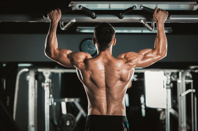 body builder