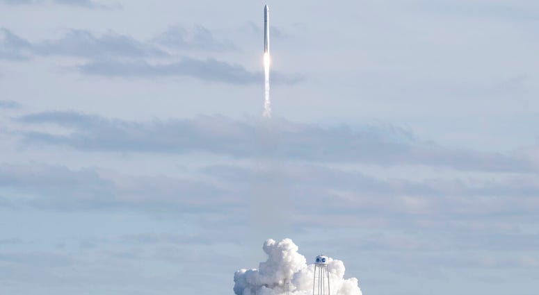 Cygnus capsule