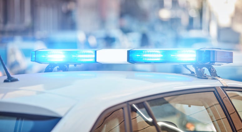 Police car lights