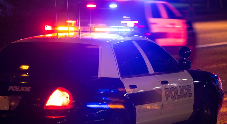 police car