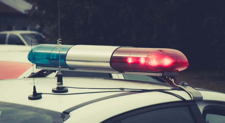 police car