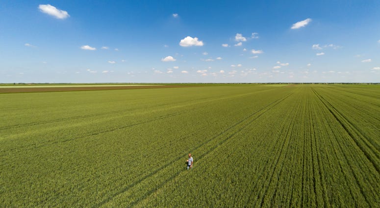 Annual Wheat Quality Tour conducted via Zoom in 2020