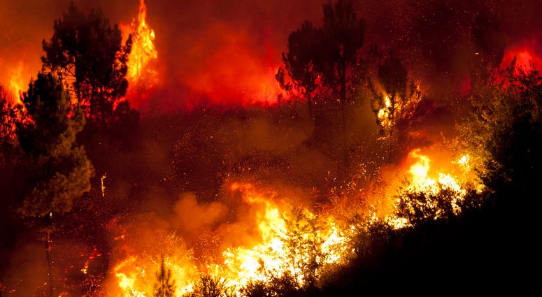 Wildfire