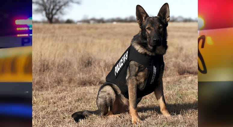 Butler Community College K9 receives protective vest