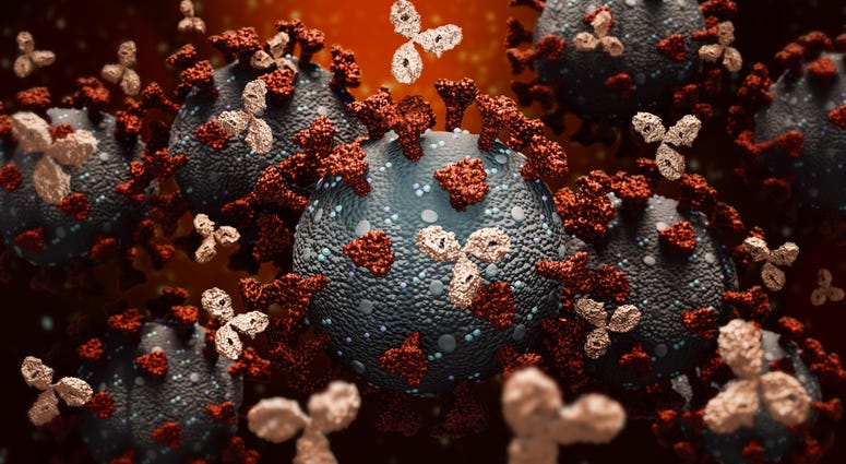 Coronavirus daily update
