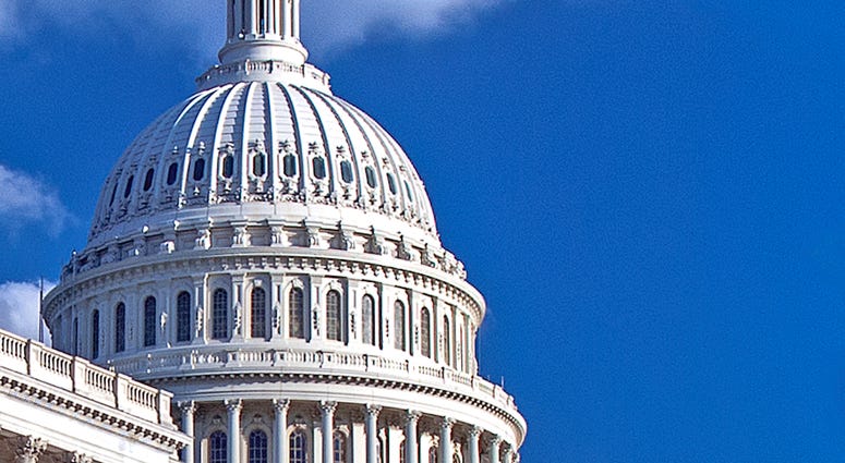 US capitol in Washington D.C.