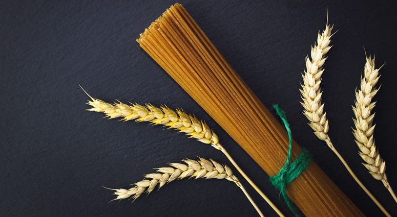pasta, wheat