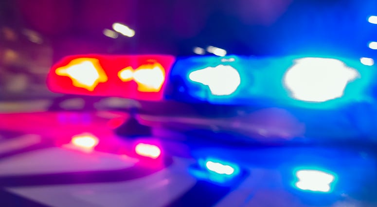 Police Car Sirens