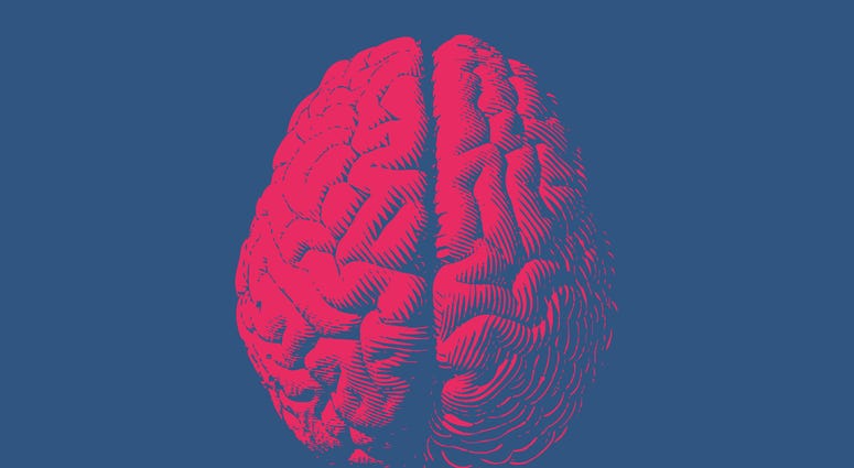 Monochrome drawing brain vintage style Monochrome drawing brain vintage style