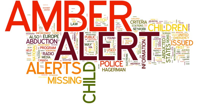 Amber Alert related words isolated on white background