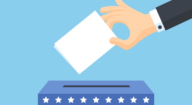 United States of America voting ballot