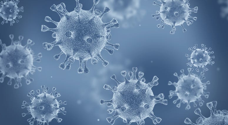 Coronavirus cells in an electron microscope