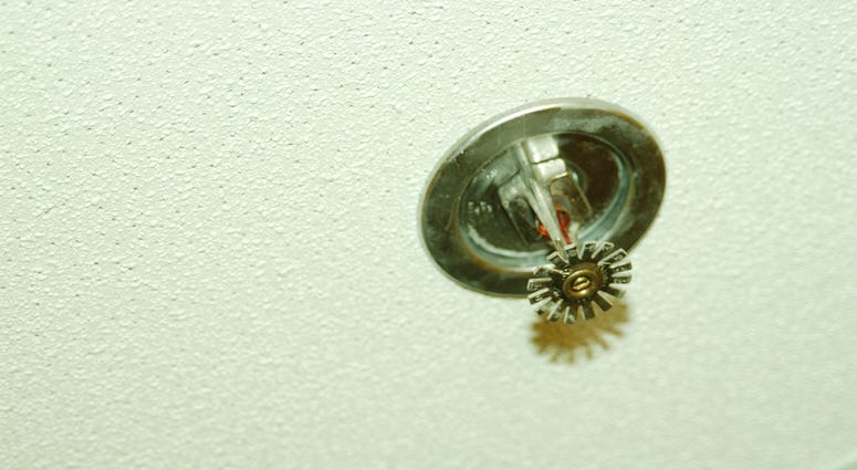 Fire sprinkler system