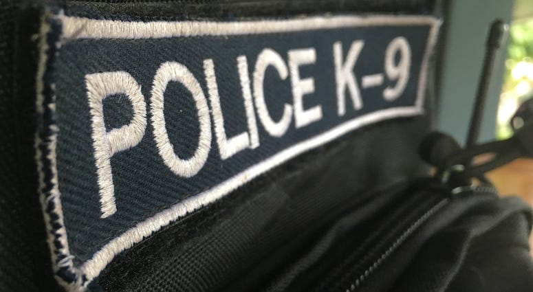 white word police k-9 on black fabric badge