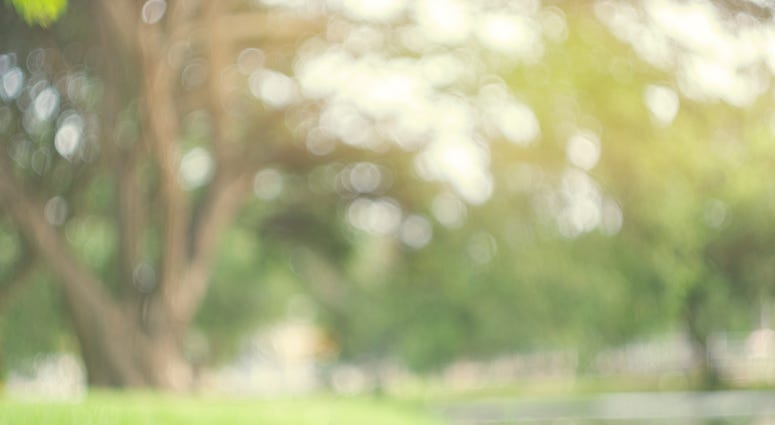 Abstract blur green park in spring outdoor background
