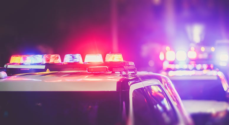 Police cruiser lights closeup photo
