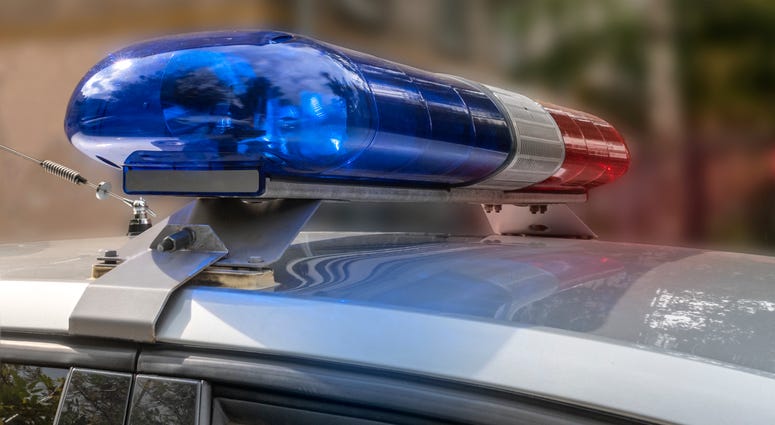 Police car lights