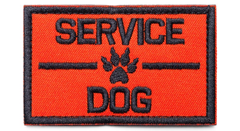 Service dog patch