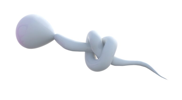 sperm with a knot on it, the sterility concept