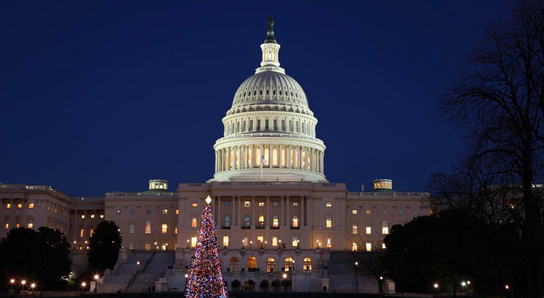 US capitol in Washington D.C.
