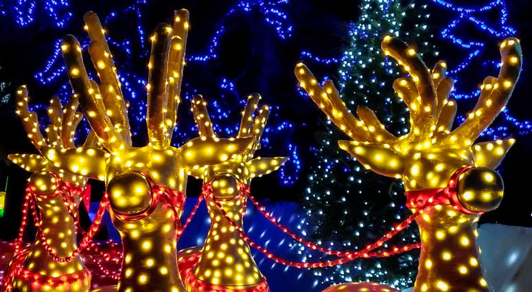 Christmas lights display