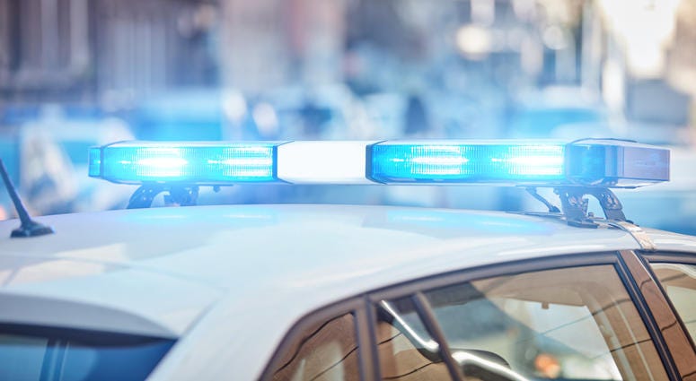 Police car lights