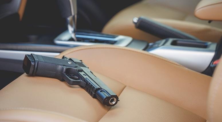 WPD tracks increase in stolen guns