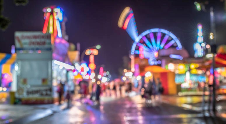 Picture of the state fair