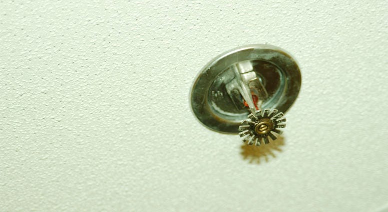 Fire sprinkler system