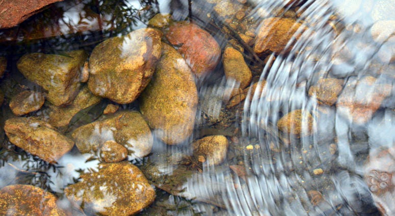 Concentric ripples and sky and tree reflections in a shallow pebble filled stream bed