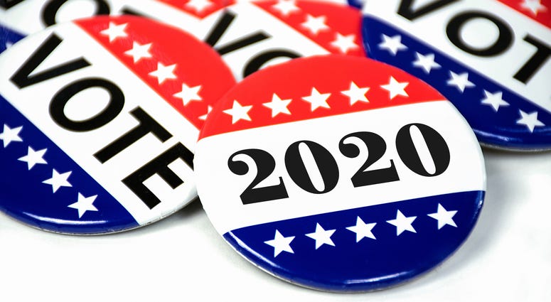 2020 Voter badge buttons