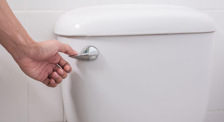 hand press and flush toilet