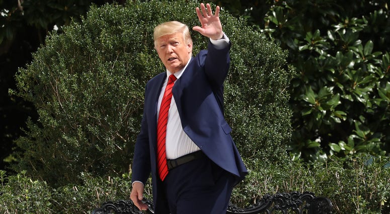 Picture of President Donald Trump