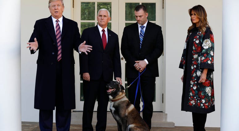 President Donald Trump, Vice President Mike Pence and first lady Melania Trump, present Conan, the military working dog injured in the successful operation targeting Islamic State leader Abu Bakr al-Baghdadi, before the media in the Rose Garden at the Whi