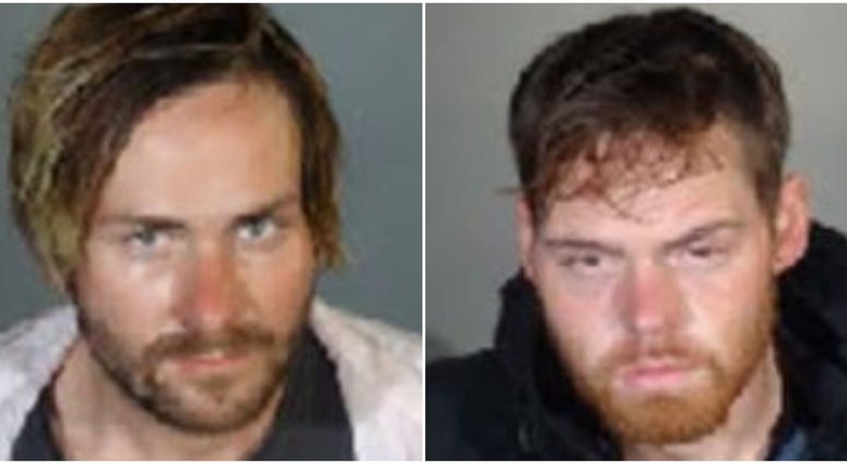 Suspected thieves