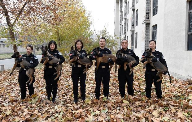 Beijing police officers pose for a photo holding cloned police dogs in a photo released by the Beijing Municipal Public Security Bureau on November 20, 2019.